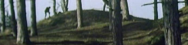 Warning to the Curious