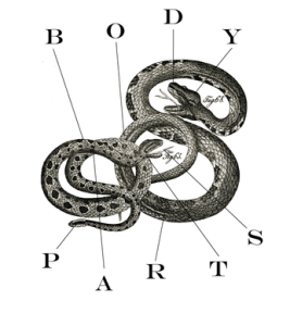 Body Parts